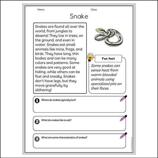 Snake | Reading Passage Comprehension Questions Writing Facts Worksheet