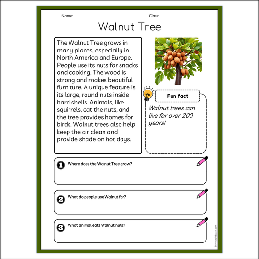 Walnut Tree | Reading Passage Comprehension Questions Writing Facts Worksheet