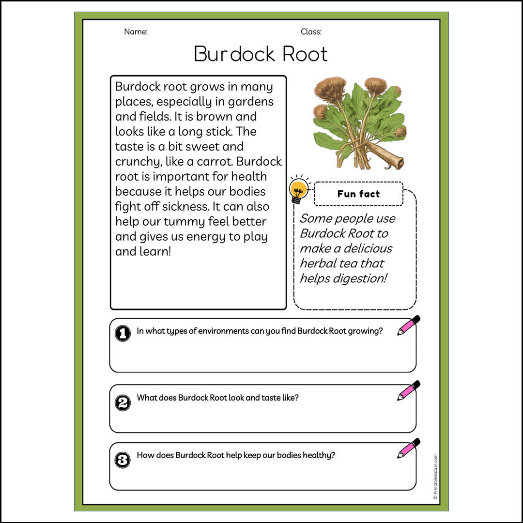 Burdock Root | Reading Passage Comprehension Questions Writing Facts Worksheet