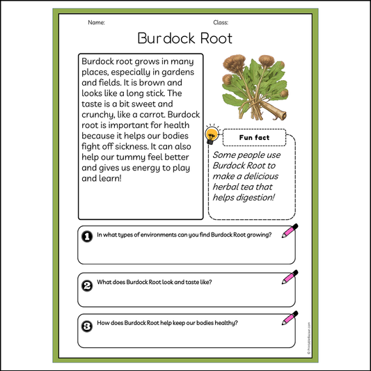 Burdock Root | Reading Passage Comprehension Questions Writing Facts Worksheet