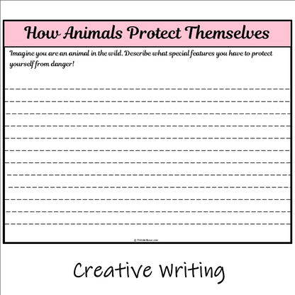 How Animals Protect Themselves | Main Idea and Supporting Details Reading Passage and Questions