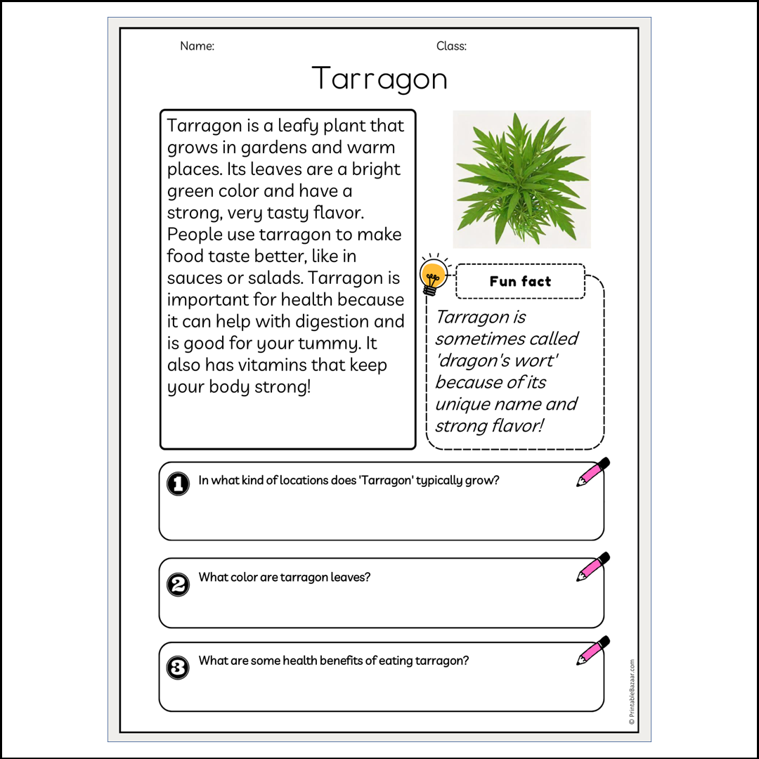 Tarragon | Reading Passage Comprehension Questions Writing Facts Worksheet