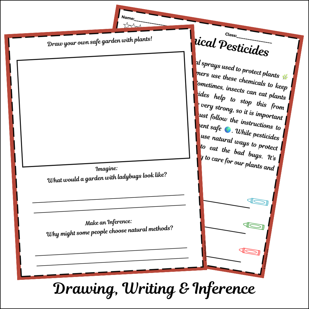 Chemical Pesticides | Short Reading Comprehension Creative Worksheet