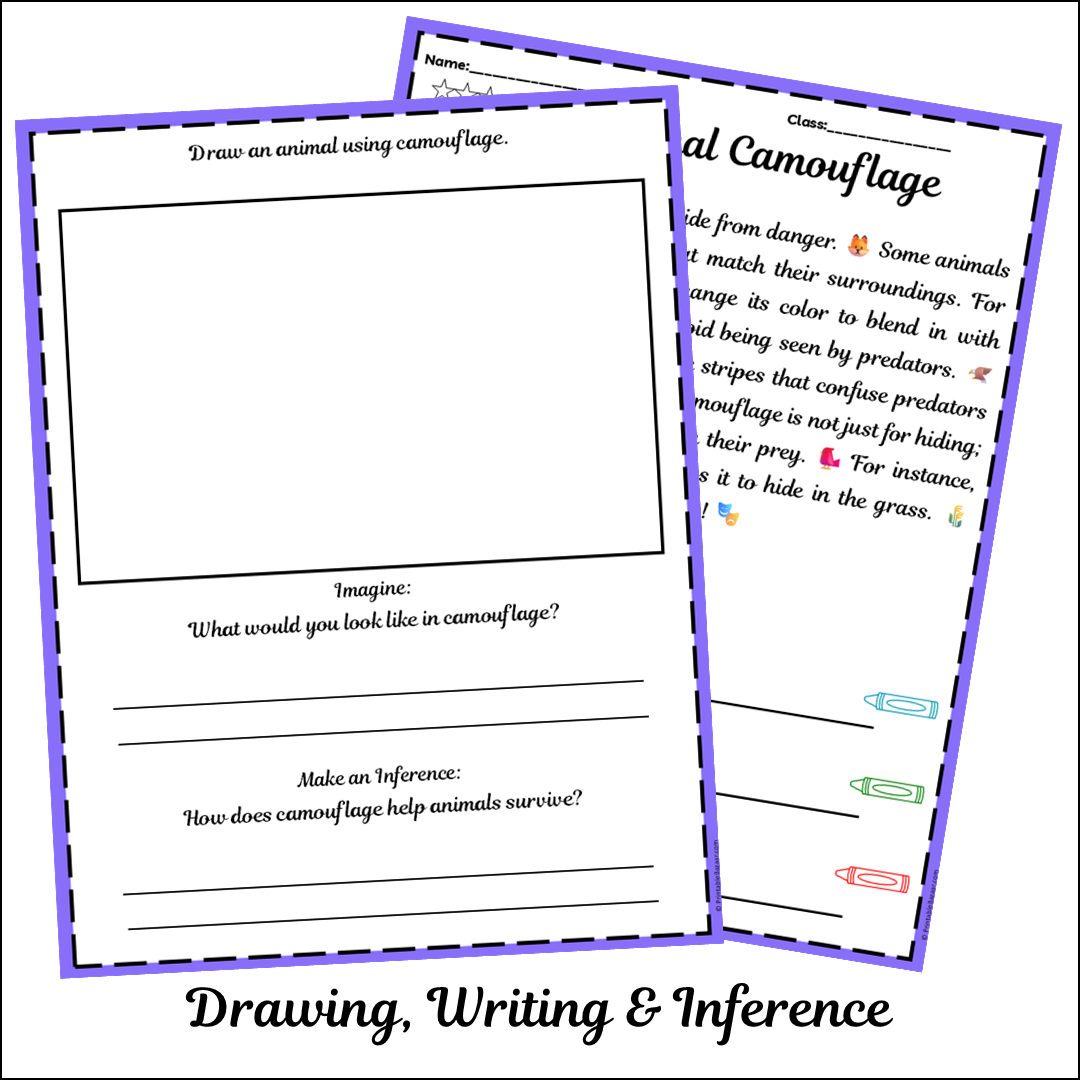Animal Camouflage | Short Reading Comprehension Creative Worksheet