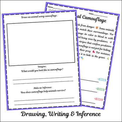 Animal Camouflage | Short Reading Comprehension Creative Worksheet