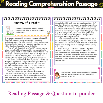 Anatomy of a Rabbit | Reading Comprehension Passage and Questions