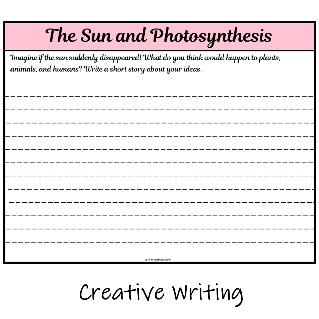 The Sun and Photosynthesis | Main Idea and Supporting Details Reading Passage and Questions