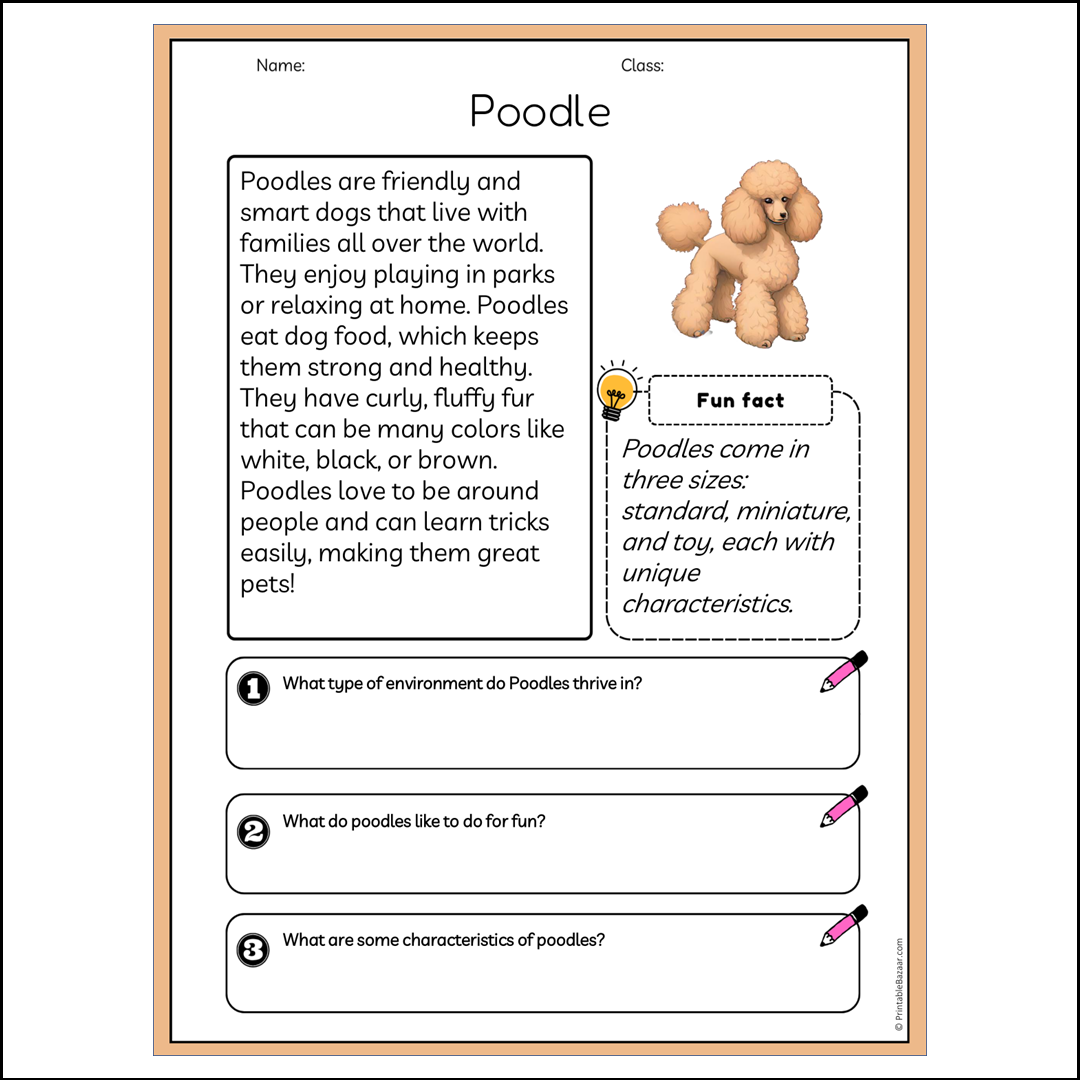 Poodle | Reading Passage Comprehension Questions Writing Facts Worksheet