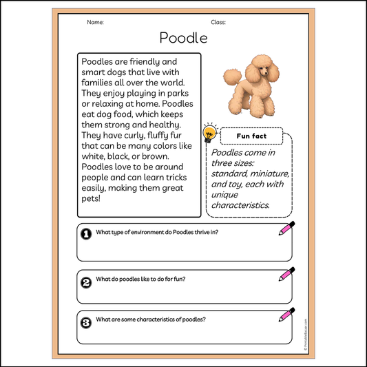 Poodle | Reading Passage Comprehension Questions Writing Facts Worksheet