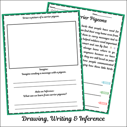 Carrier Pigeons | Short Reading Comprehension Creative Worksheet