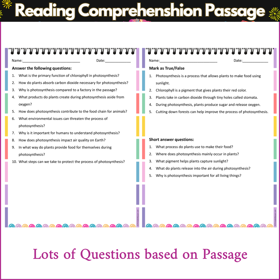 Photosynthesis | Reading Comprehension Passage and Questions