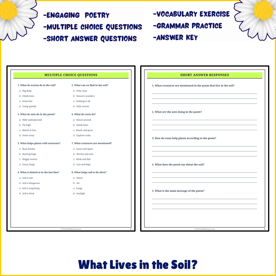 What Lives in the Soil? | Poem Grammar Worksheet Printable Activity