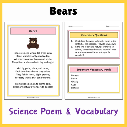 Bears | Science Poem Reading Comprehension Activity