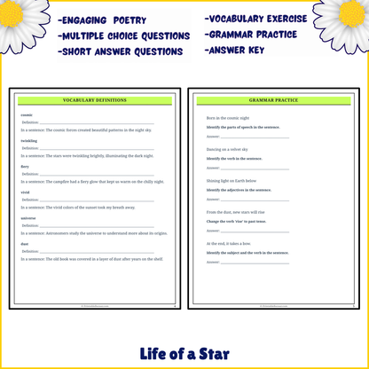 Life of a Star | Poem Grammar Worksheet Printable Activity
