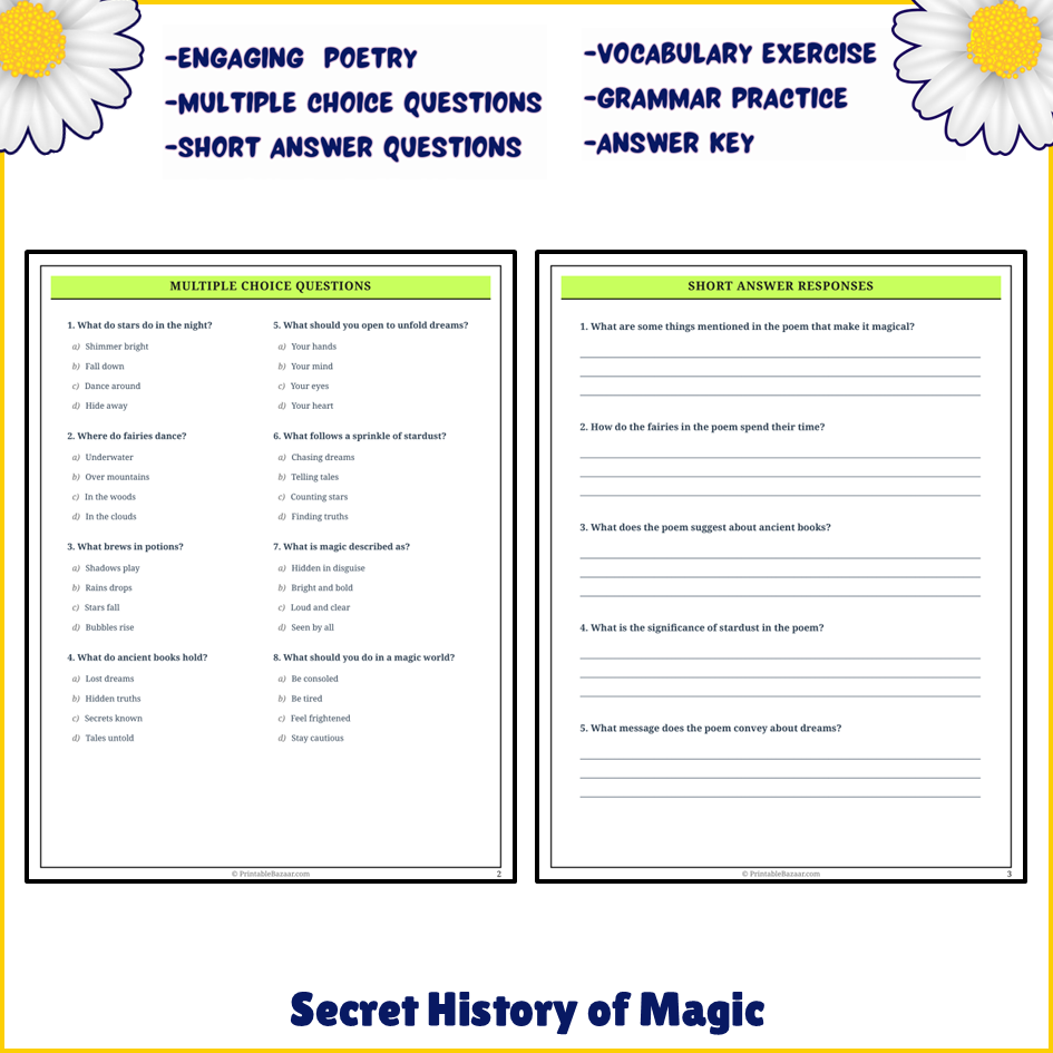 Secret History of Magic | Poem Grammar Worksheet Printable Activity