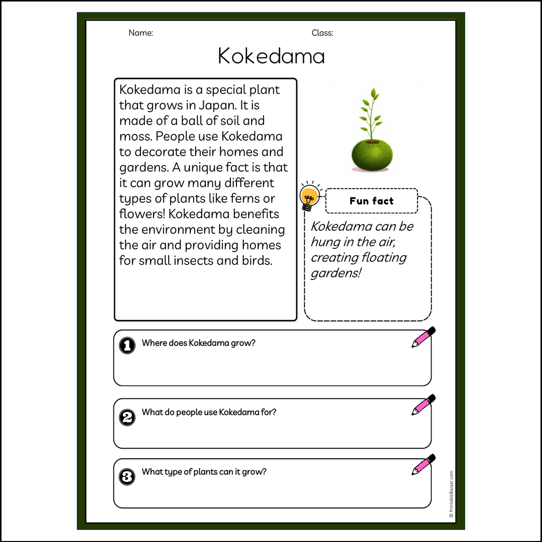 Kokedama | Reading Passage Comprehension Questions Writing Facts Worksheet