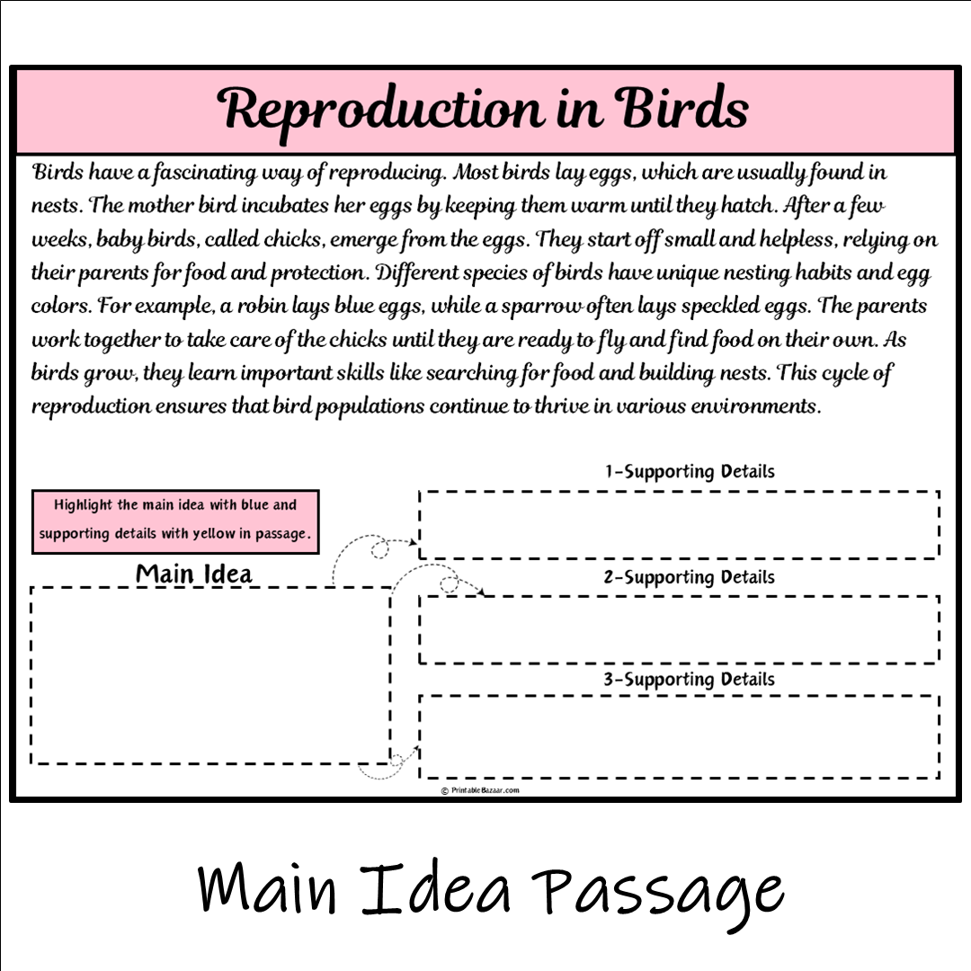 Reproduction in Birds | Main Idea and Supporting Details Reading Passage and Questions