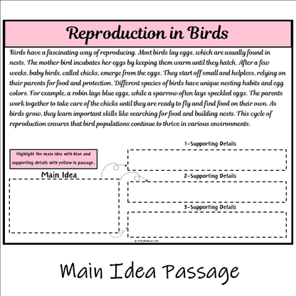 Reproduction in Birds | Main Idea and Supporting Details Reading Passage and Questions