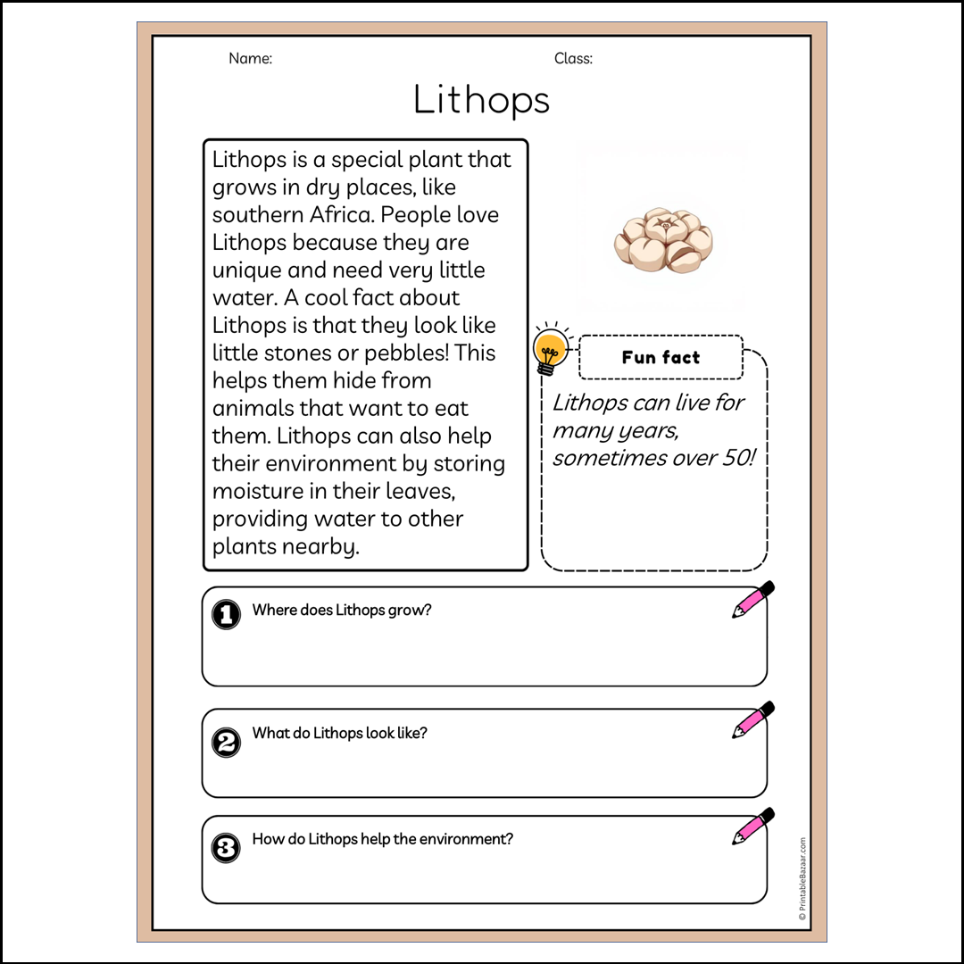 Lithops | Reading Passage Comprehension Questions Writing Facts Worksheet