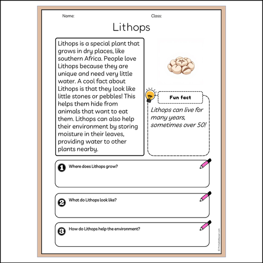 Lithops | Reading Passage Comprehension Questions Writing Facts Worksheet