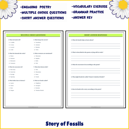 Story of Fossils | Poem Grammar Worksheet Printable Activity