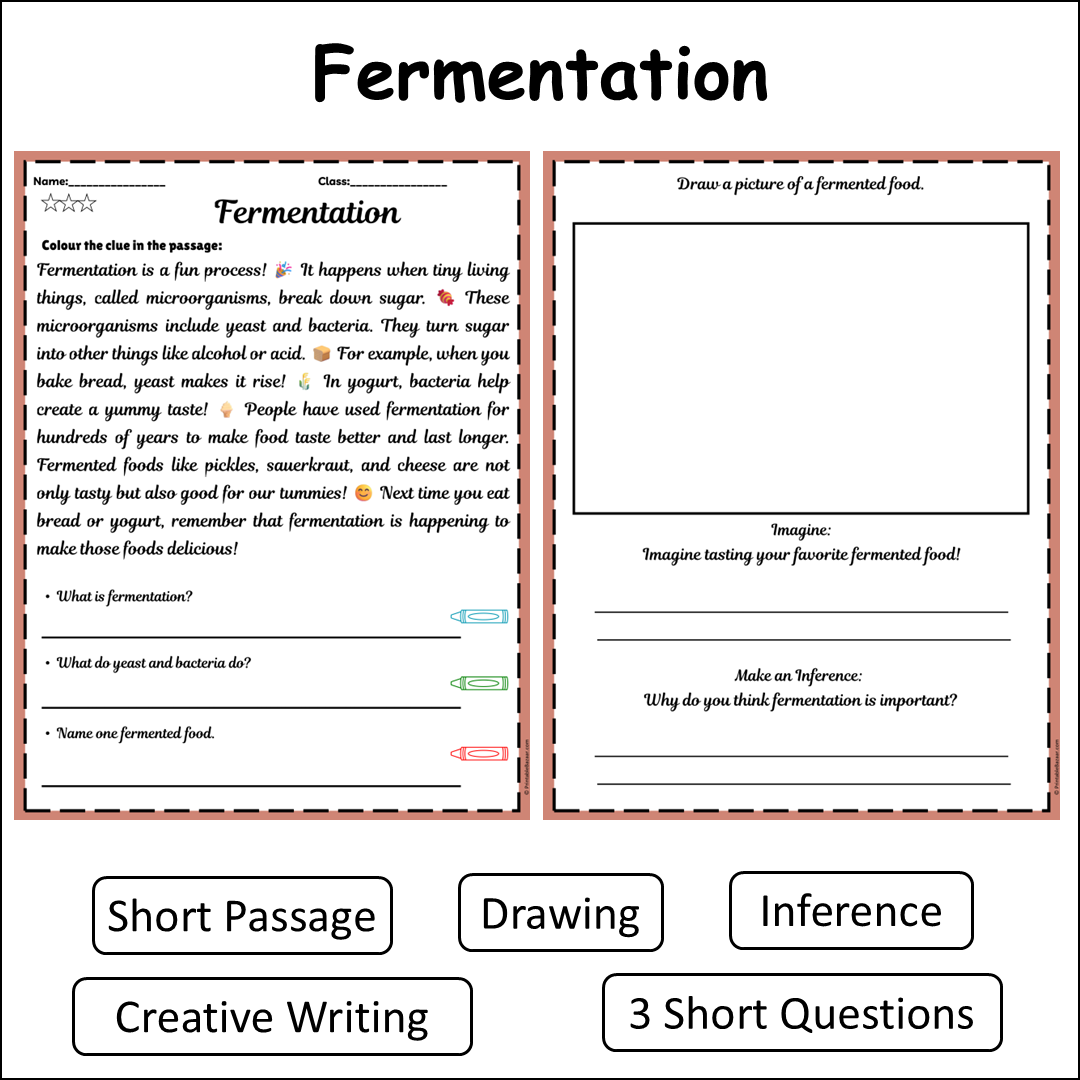 Fermentation | Short Reading Comprehension Creative Worksheet