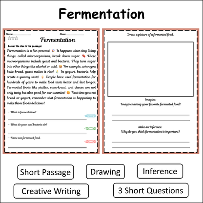 Fermentation | Short Reading Comprehension Creative Worksheet