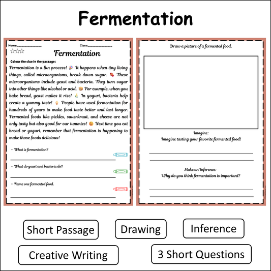 Fermentation | Short Reading Comprehension Creative Worksheet