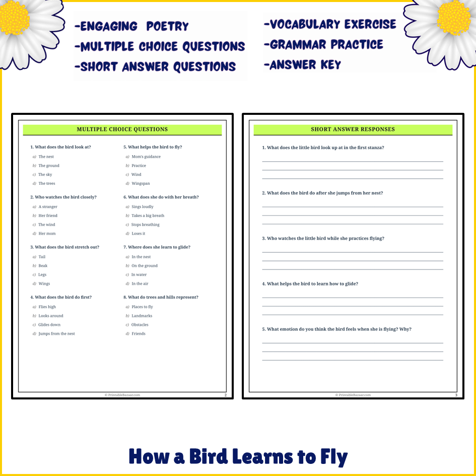 How a Bird Learns to Fly | Poem Grammar Worksheet Printable Activity