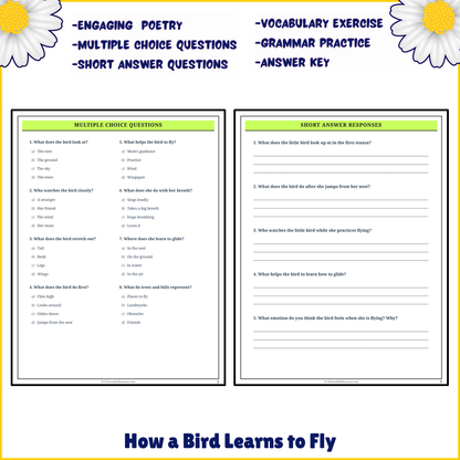 How a Bird Learns to Fly | Poem Grammar Worksheet Printable Activity