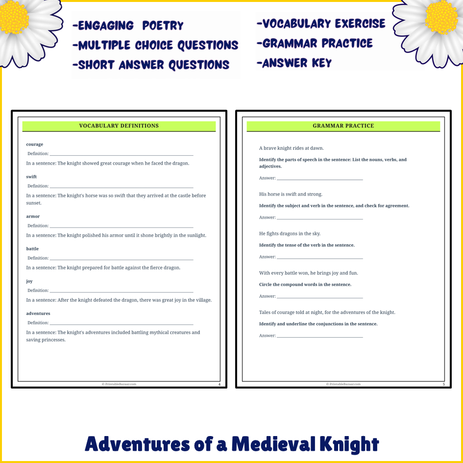 Adventures of a Medieval Knight | Poem Grammar Worksheet Printable Activity