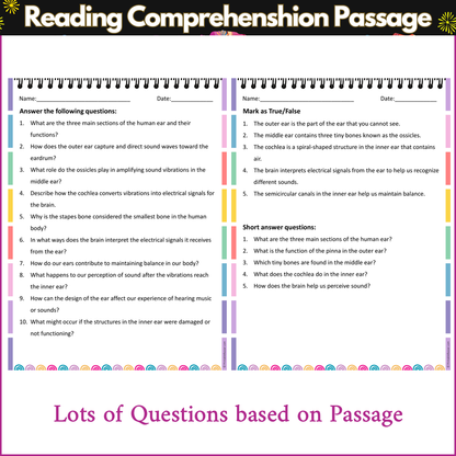 The Human Ear | Reading Comprehension Passage and Questions