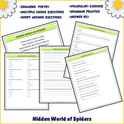 Hidden World of Spiders | Poem Grammar Worksheet Printable Activity