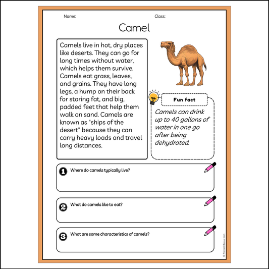 Camel | Reading Passage Comprehension Questions Writing Facts Worksheet