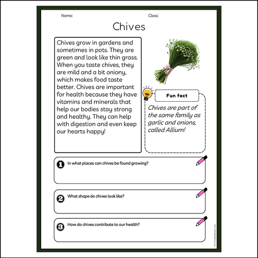 Chives | Reading Passage Comprehension Questions Writing Facts Worksheet