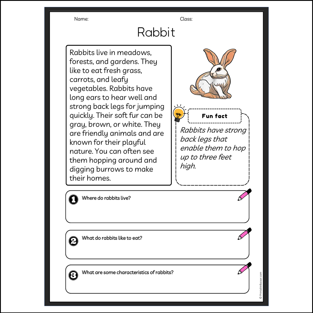 Rabbit | Reading Passage Comprehension Questions Writing Facts Worksheet