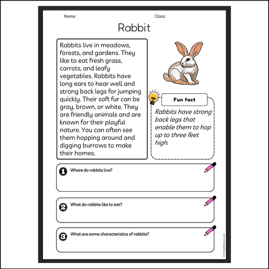 Rabbit | Reading Passage Comprehension Questions Writing Facts Worksheet