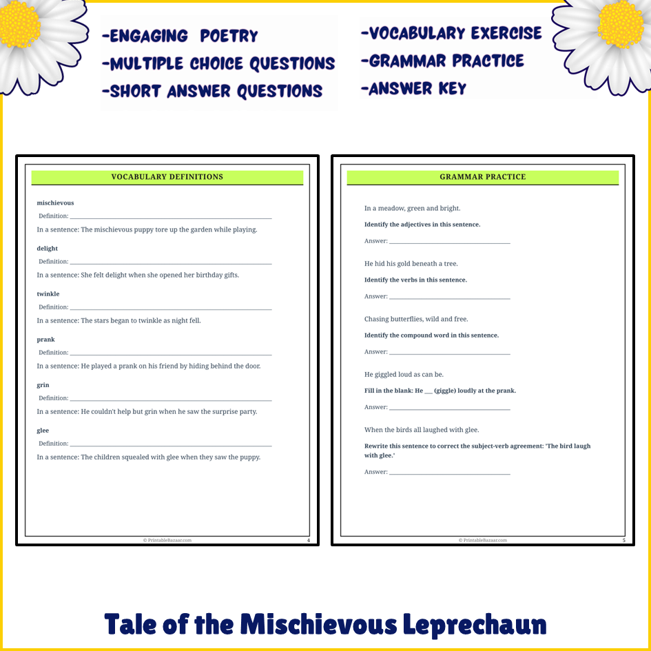 Tale of the Mischievous Leprechaun | Poem Grammar Worksheet Printable Activity