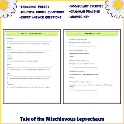 Tale of the Mischievous Leprechaun | Poem Grammar Worksheet Printable Activity