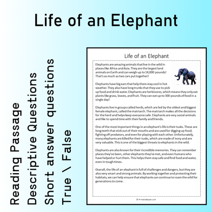Life of an Elephant | Reading Comprehension Passage Printable Worksheet