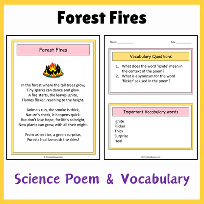 Forest Fires | Science Poem Reading Comprehension Activity