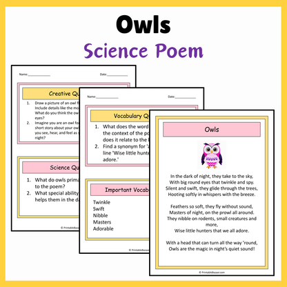 Owls | Science Poem Reading Comprehension Activity