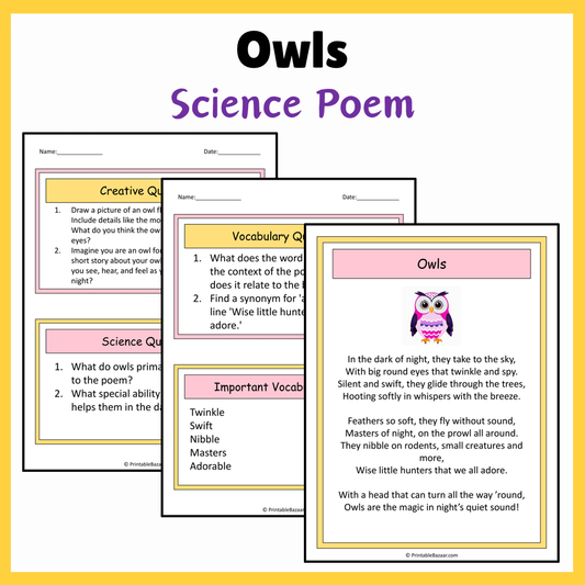 Owls | Science Poem Reading Comprehension Activity