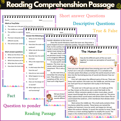 The Human Ear | Reading Comprehension Passage and Questions