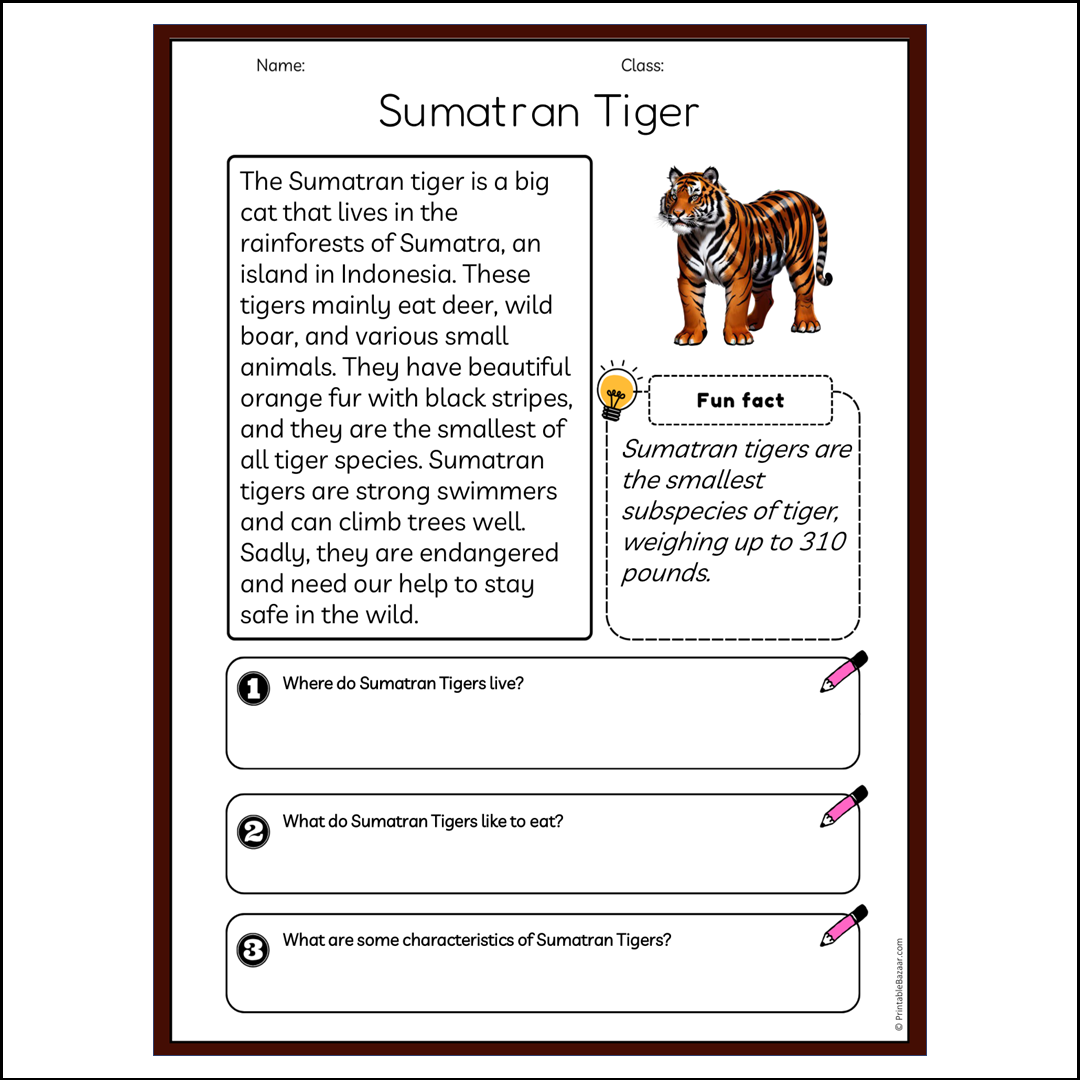 Sumatran Tiger | Reading Passage Comprehension Questions Writing Facts Worksheet