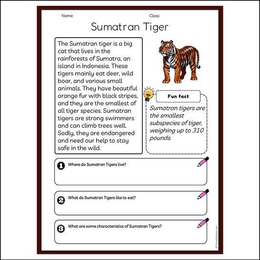 Sumatran Tiger | Reading Passage Comprehension Questions Writing Facts Worksheet