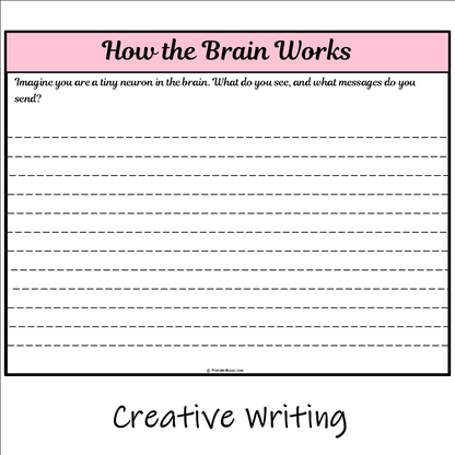 How the Brain Works | Main Idea and Supporting Details Reading Passage and Questions