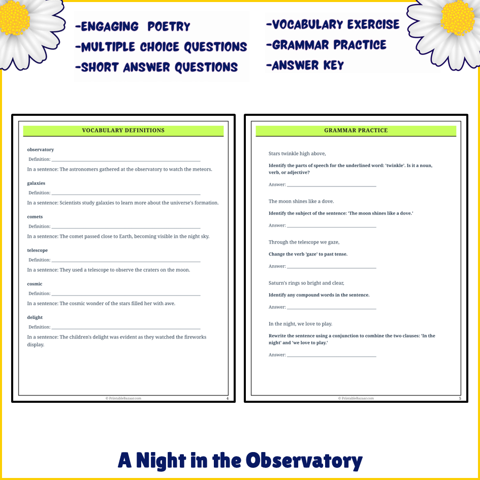 A Night in the Observatory | Poem Grammar Worksheet Printable Activity