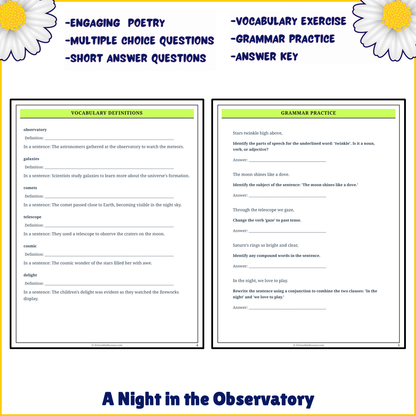 A Night in the Observatory | Poem Grammar Worksheet Printable Activity