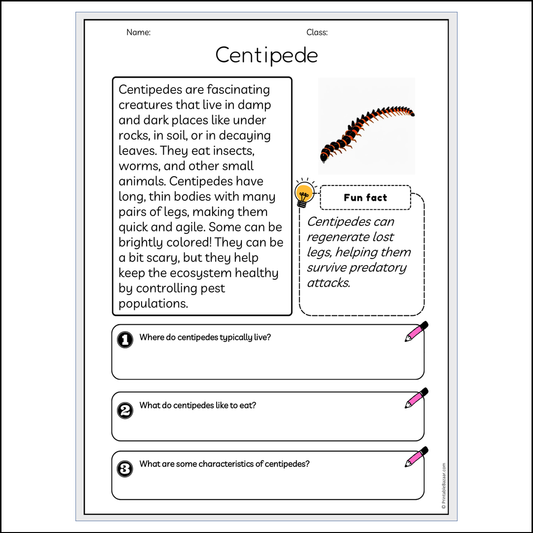 Centipede | Reading Passage Comprehension Questions Writing Facts Worksheet